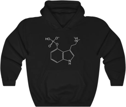 Psilocybin Molecule, Magic Mushroom Hoodie, Psychedelic Mushroom Sweatshirt, Be Kind To Your Mind
