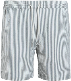 ALLSAINTS Warden Seersucker Striped Regular Fit Swim Trunks