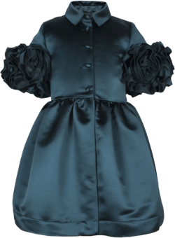 satin button-up dress