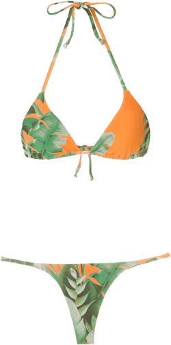 Mata Atlântica triangle bikini set