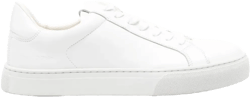 Agar sneakers