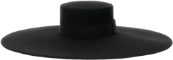wide-brimmed hat
