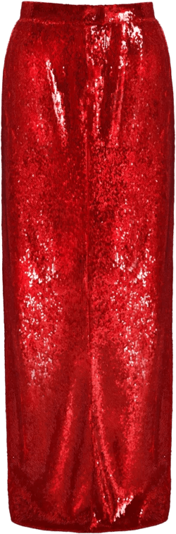sequin-embellished maxi skirt