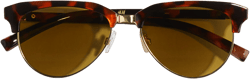 Polarized Sunglasses