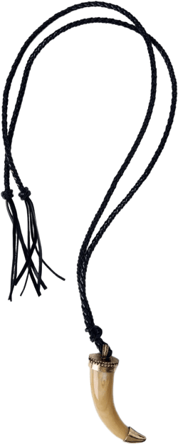 ROPE HORN NECKLACE KATE MOSS X ZARA