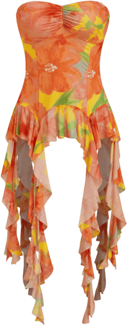 Mesh Floral Ruffle Hem Bandeau Top