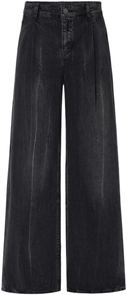 Wide Leg Pleated Jeans