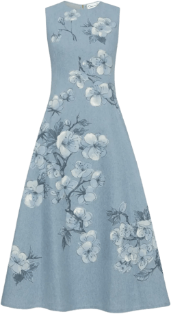 printed denim dress