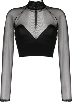 mesh mock-neck crop top