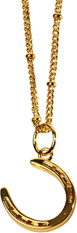 Gold-Plated Horseshoe Pendant Necklace – 18k Gold-Plated Lucky Charm Jewelry for Women
