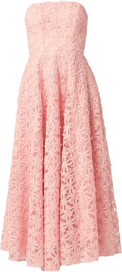 Shoshanna Miller Strapless Dress