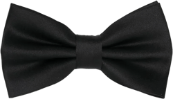 satin bow tie