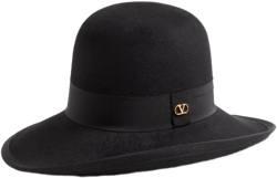 wide-brimmed felt hat