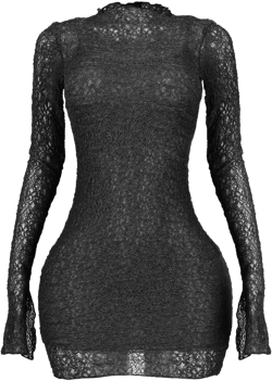 Kate Sheer Mini Dress With Lining