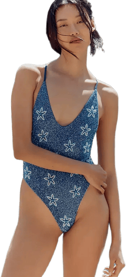 Embroidered Starfish One-piece Swimsuit In Blue