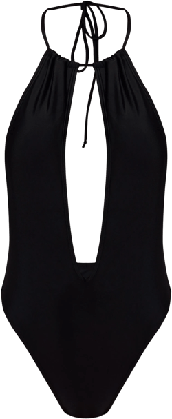 Black Ruched Plunge Halter Swimsuit