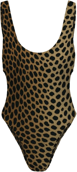 Leopard One Piece Swimsuit – High Cut Animal Print Bathing Suit for Women, Shelf Bra, Bold Swimwear XS to XL