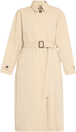Belted Trench Coat In Beige