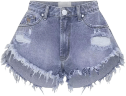 One Teaspoon Women's Blue Denim Shorts