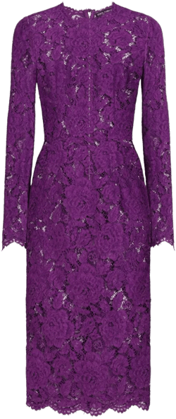 Cordonetto lace dress
