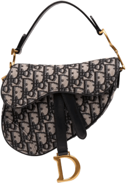 2020 Mini Oblique Canvas Saddle Bag satchel