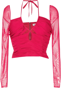 halterneck cropped top