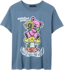 Junk Food Clothing Women's Grateful Dead Shakedown Garden Vintage Tee