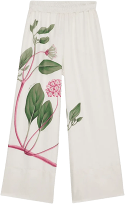 Aloegots palazzo pants