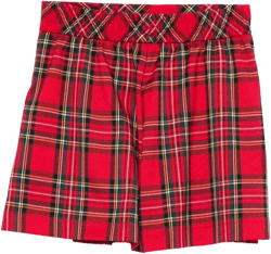 pleated plaid shorts