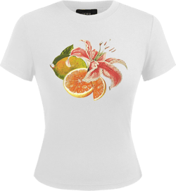 Round Neckline Fruit & Flower Graphic Crop Tee