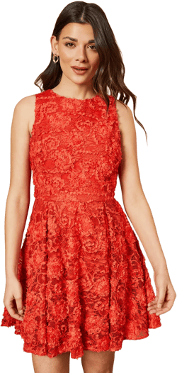Textured Lace Halter Neck Mini Dress