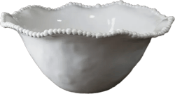 Vida Alegria Large Bowl