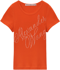 Crystal Hotfix Tee In Ribbed Jersey