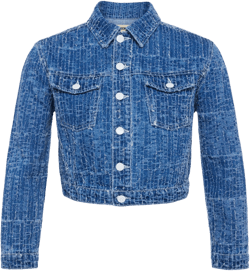 Koda Cropped Denim Jacket