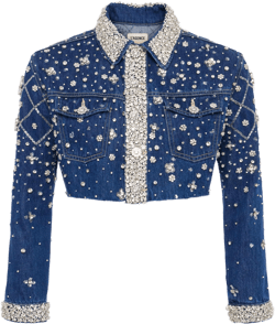 Genevie Embellished Cropped Denim Jacket