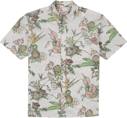 Men's Flowers for You Button Down Cotton Broadcloth Shirt Flowers for You (Natural) Large