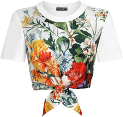 cotton-silk cropped t-shirt