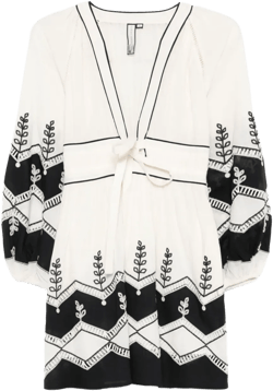 embroidered V-neck mini dress