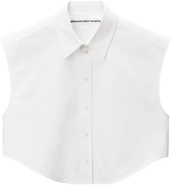 White Crystal Hotfix Cropped Shirt