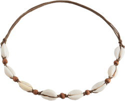 Shells necklace
