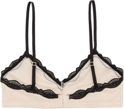 Show Off Mesh Triangle Bralette
