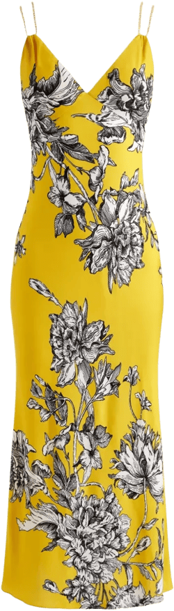 Kiro midi dress