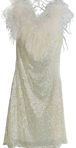 Jovani Women's Gray Micah Dress