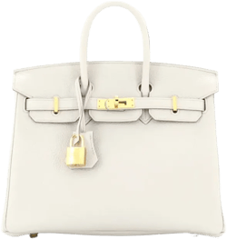 Birkin 25 leather tote
