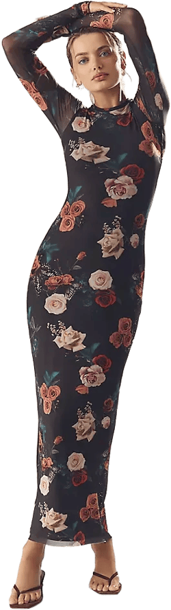 AFRM Didi Long-Sleeve Mesh Maxi Dress