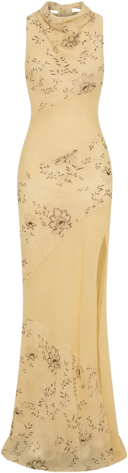 Shana cowl-neck floral-print maxi dress