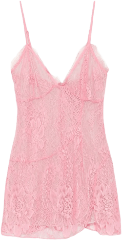 Fairy lace mini dress
