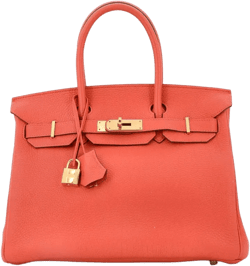 Birkin 30 leather tote