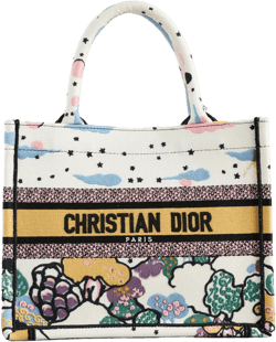 Dior Book Tote