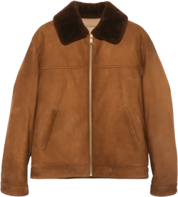 Suede Jacket In Brown
